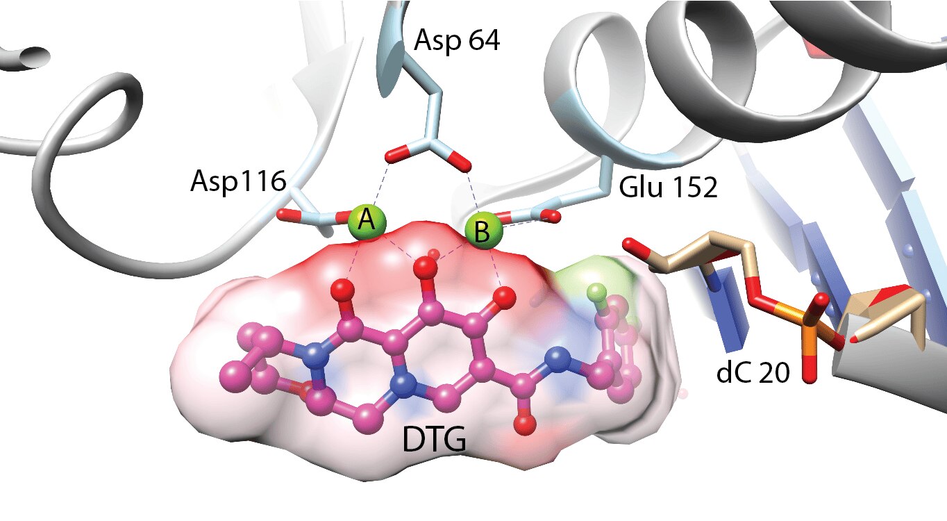 Close-up view of an HIV intasome active site.