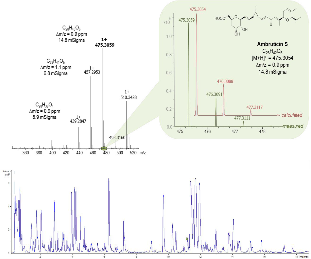 Graph of LC MS of biological extracts and one the peaks.