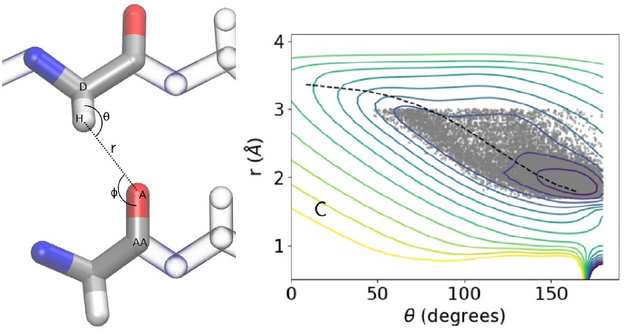 Coordinates describing the geometry of a hydrogen bond, and a two dimensional cut through a three dimensional potential of mean force used to improve the geometry of hydrogen bonds.