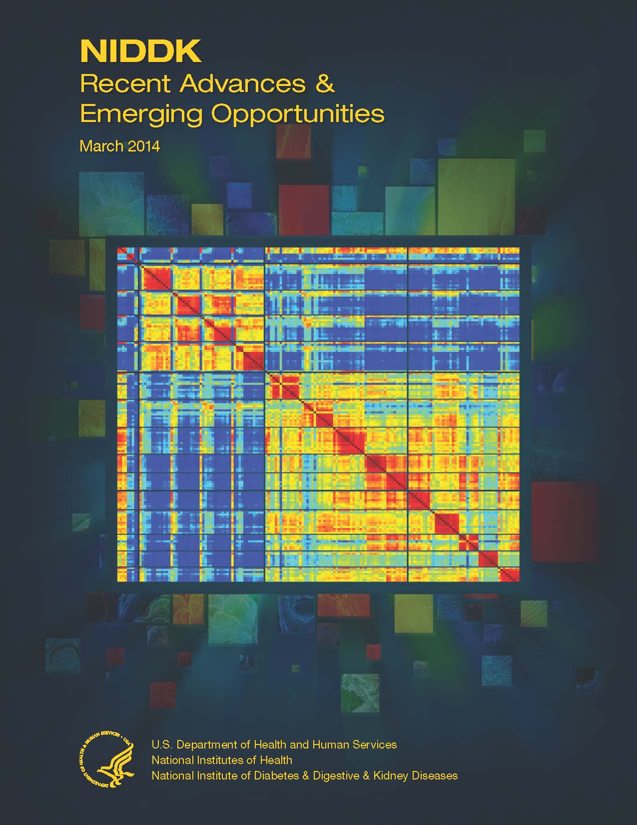 Thumbnail cover image of NIDDK Recent Advances and Emerging Opportunities March 2014 edition