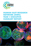 Cover of Human Islet Research Network Executive Summary Report