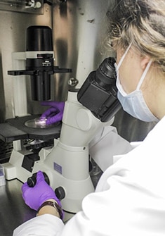 Photo of researcher working in lab