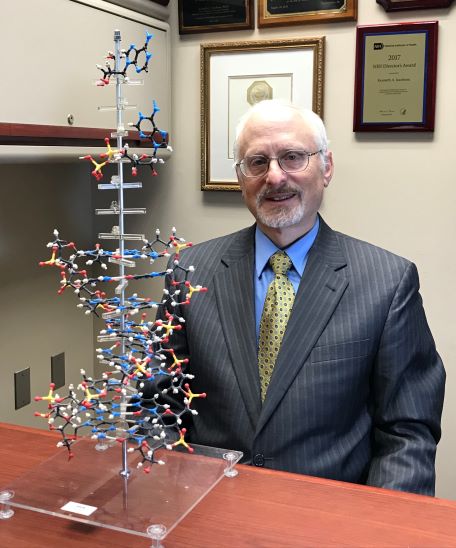Dr. Kenneth A. Jacobson with molecular model