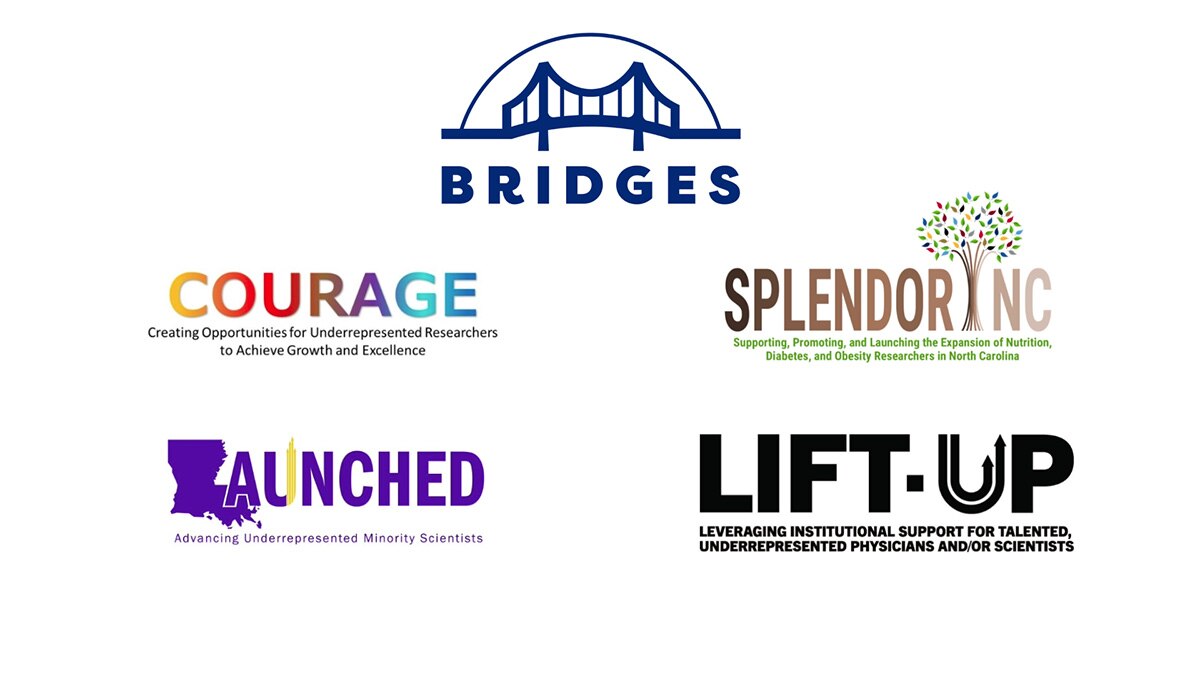 Logos of the four programs making up the BRIDGES consortium