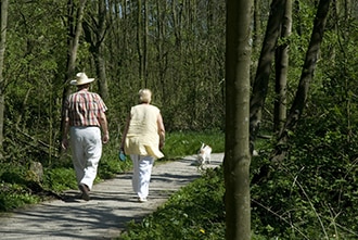 Couple walking with their dog.