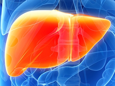 Liver Disease organ diagram
