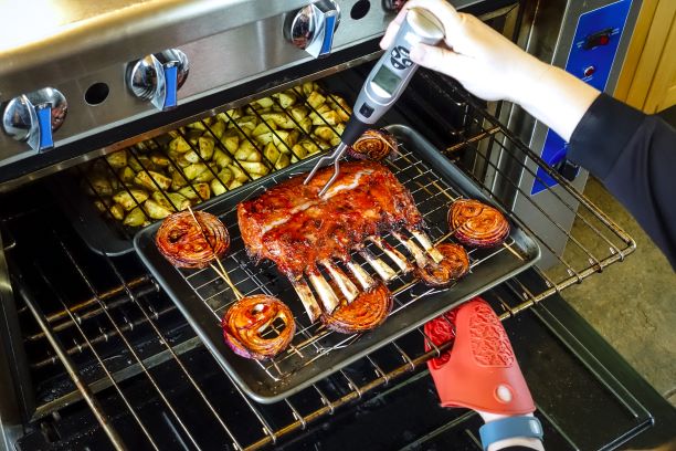 a person using a meat thermometer to measure the internal temperature of meat.