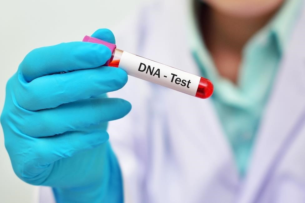 A gloved hand holding a test tube with a blood sample for a DNA test.