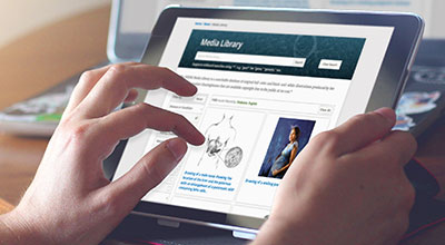 Photo of the Media Library page on a tablet