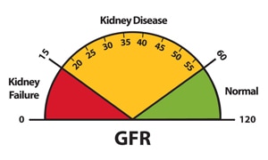A diagram of a GFR dial showing how a GFR that is 60 or higher is normal; a GFR below 60 may mean kidney disease; and a GFR of 15 or lower may mean kidney failure.