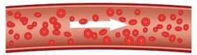 Illustration of a normal blood vessels
