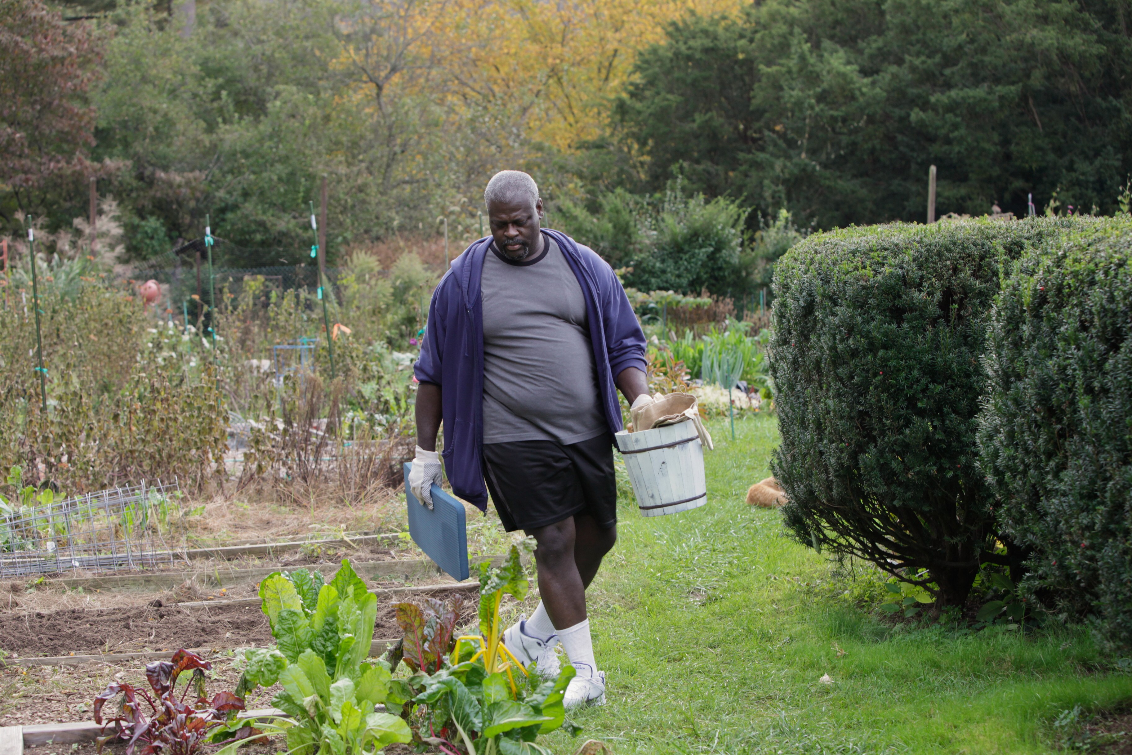 Man gardening outdoors.