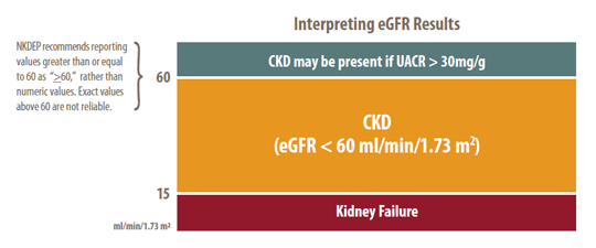 A graphic showing how to interpret eGFR results
