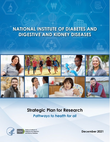 Cover of the NIDDK Plan for Strategic Research.