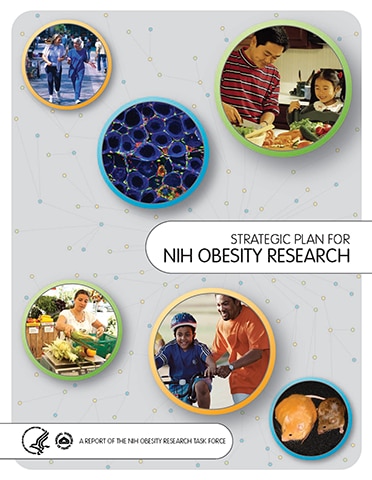 Strategic Plan for NIH Obesity Research 2011 cover