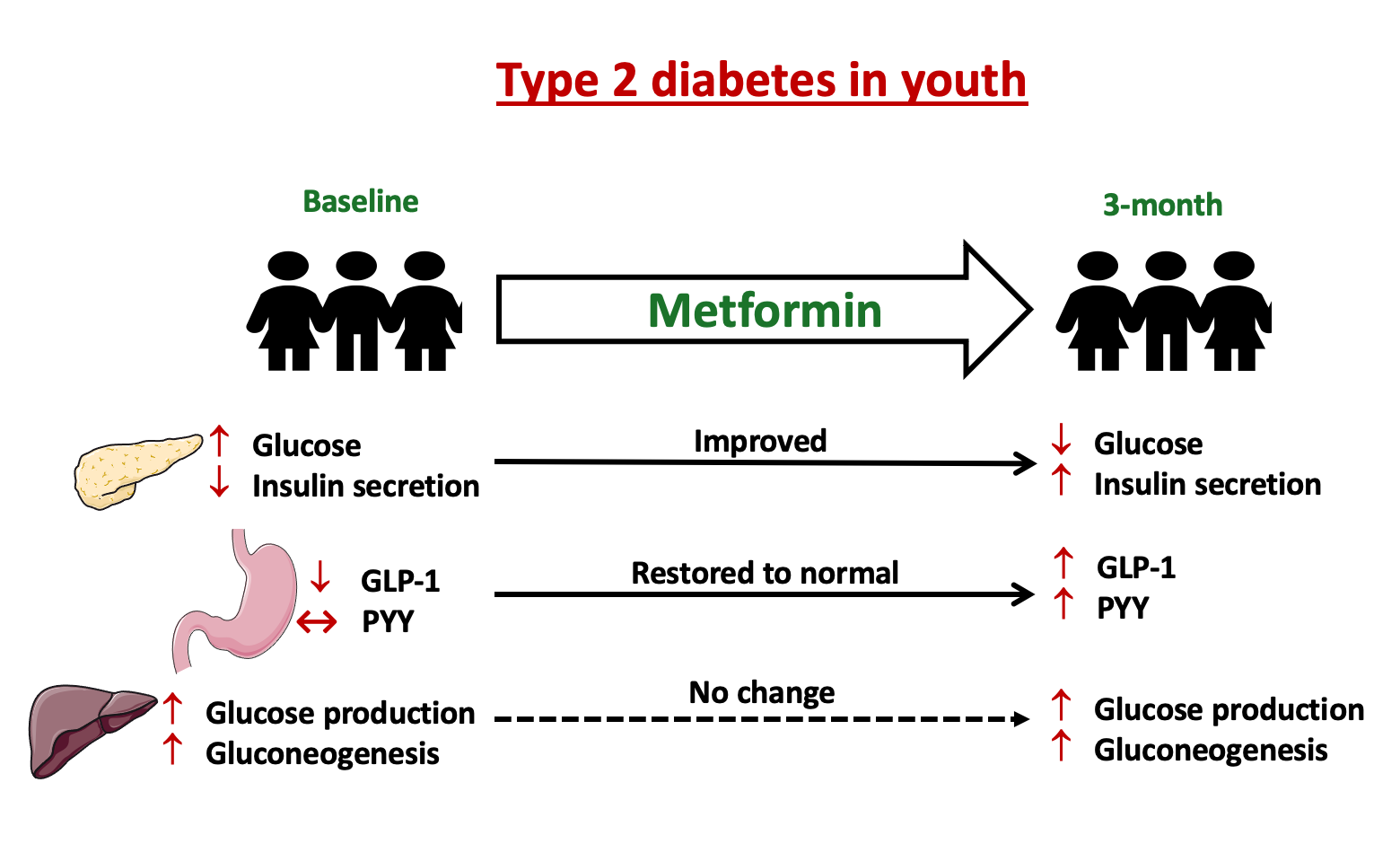 A diagram showing factors of type 2 diabetes in youth