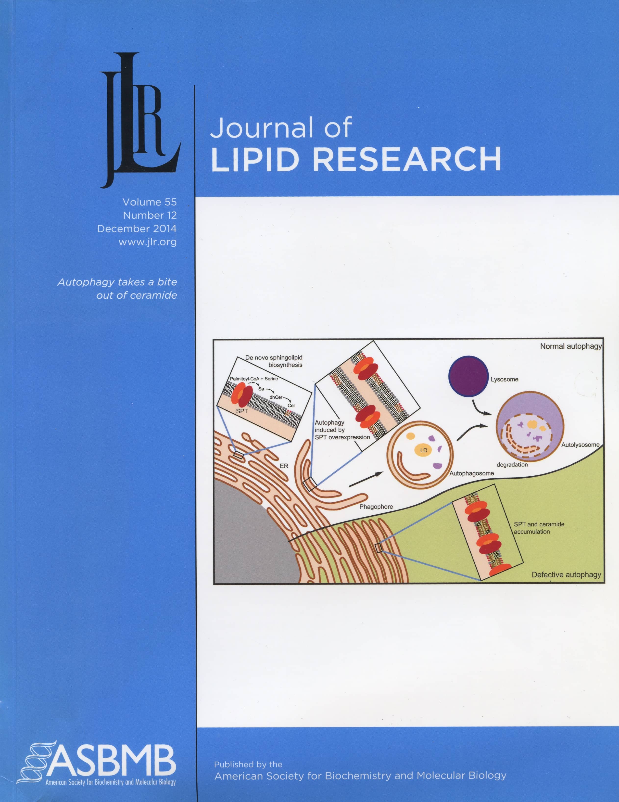 2014 cover of the Journal of Lipid Research.