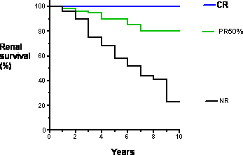 Graph showing the renal survival rate over ten years