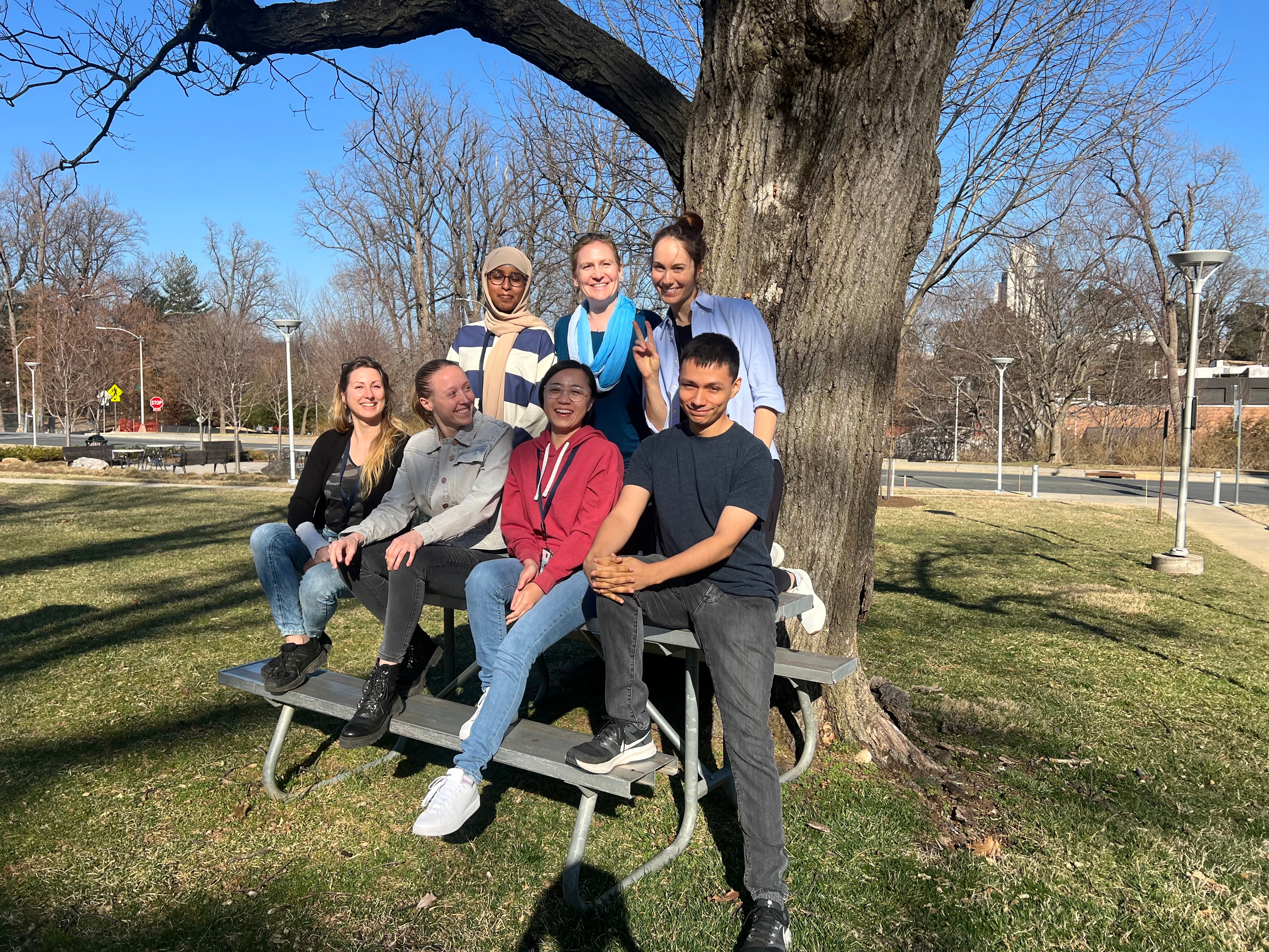 RNA Biology Section lab members sitting on a park table outdoors.