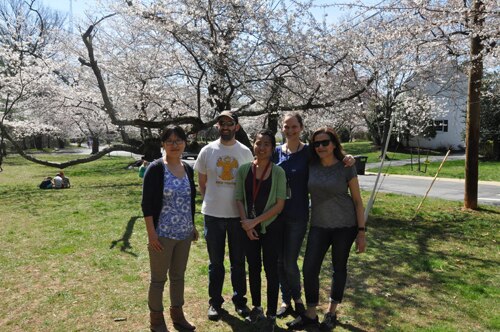 Group Photo by a Cherry Blossom Tree